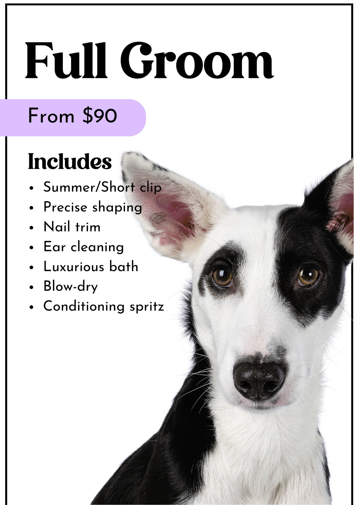 Full grooming service from $90!