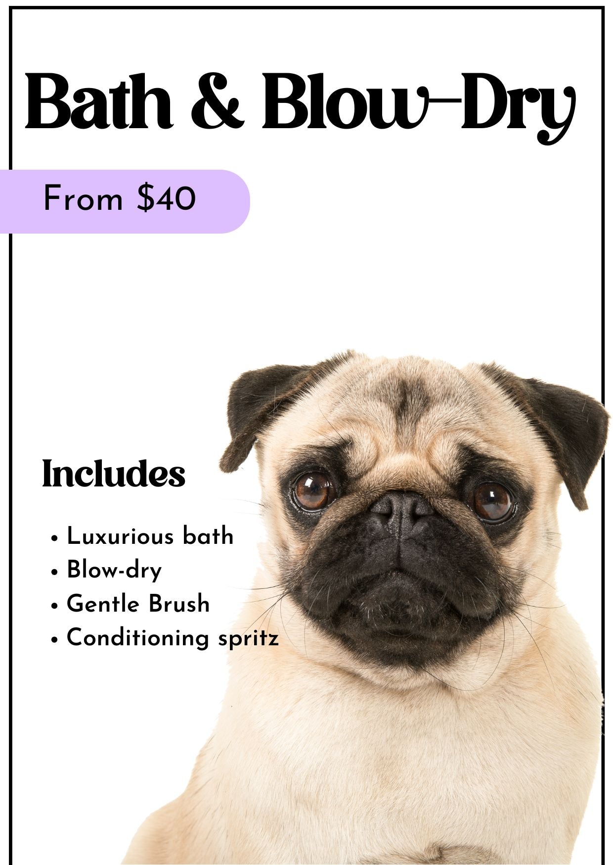 Bath & Blow-Dry
