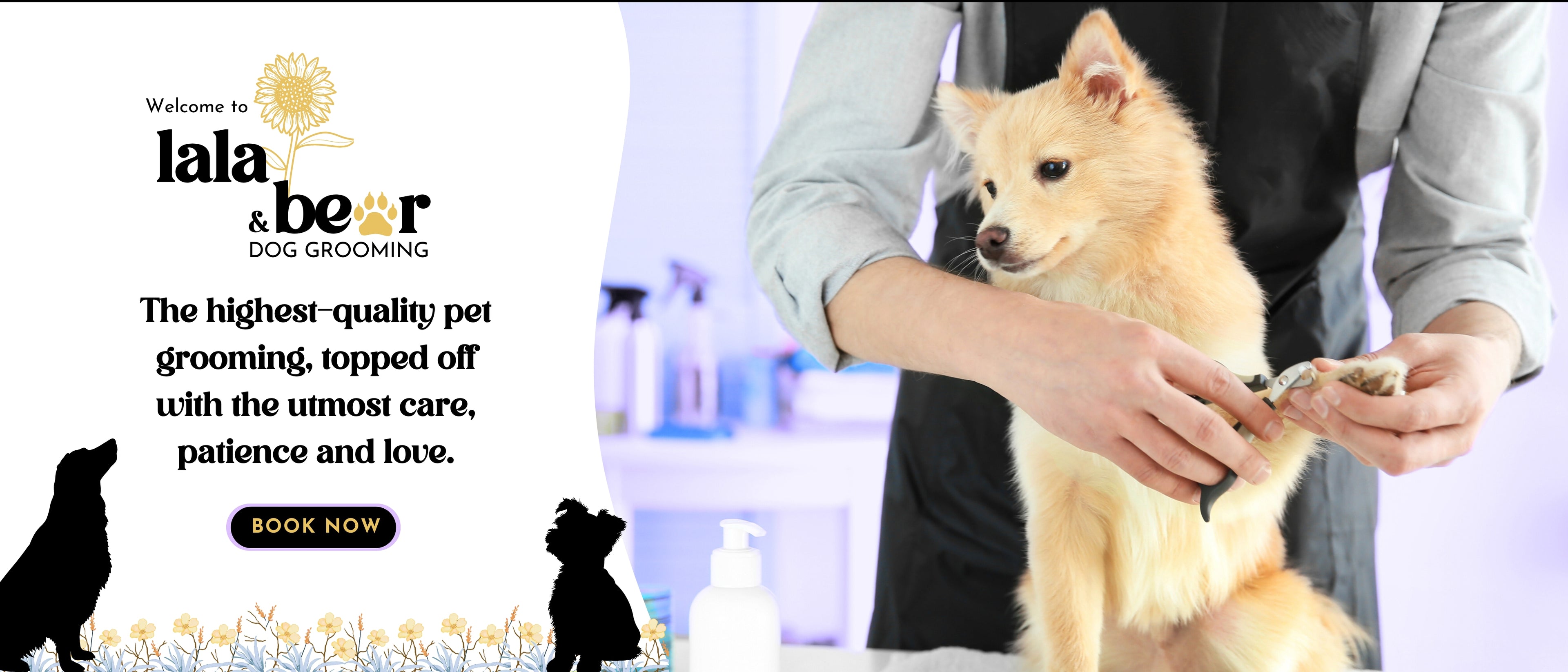 Pet groomer clips the nails of a happy puppy. 