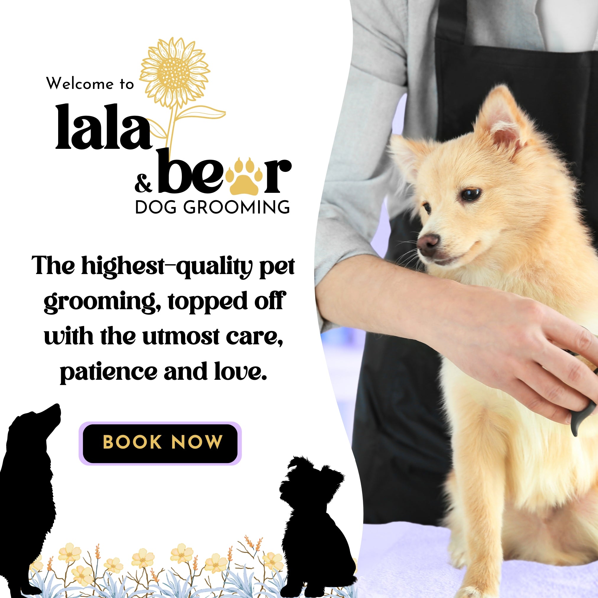Pet groomer clips the nails of a happy puppy. 